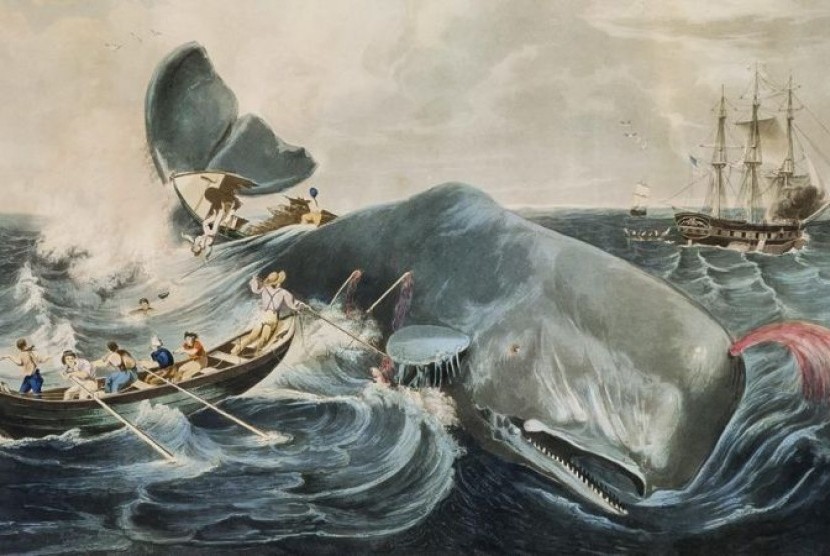 Ilustrasi - Paus sperma menabrak kapal pemburu minyak paus Essex yang bertolak dari Nantucket, Massachusetts. pada 1820.