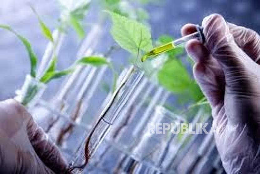EWINDO, PERIPI, dan IPB Gelar Indonesian Breeder Award 2025