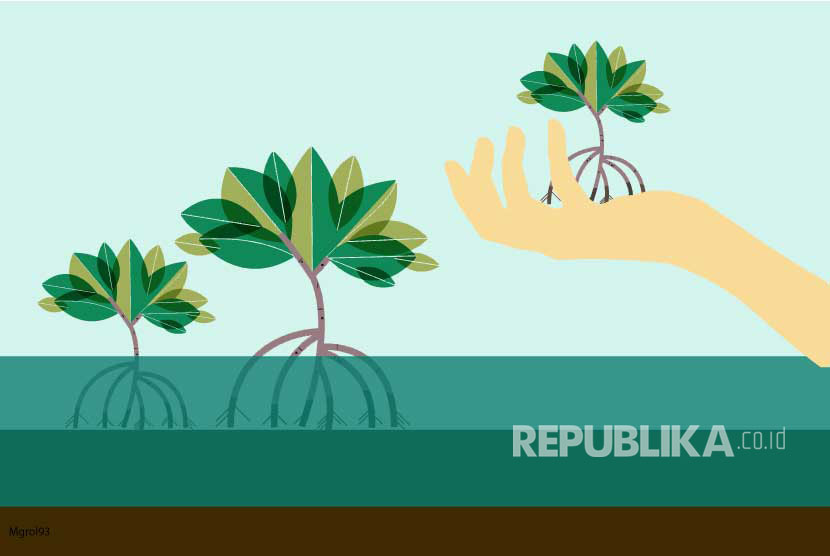  PT Pertamina Patraniaga Fuel Terminal Ternate, Maluku Utara (Malut) menggandeng warga Jambula bersama-sama menanam sebanyak 300 bibit pohon mangrove di pesisir pantai untuk mengantisipasi terjadinya abrasi. (ilustrasi).