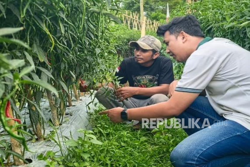 Petani di Jawa Barat Bersiap Hadapi Musim Kering
