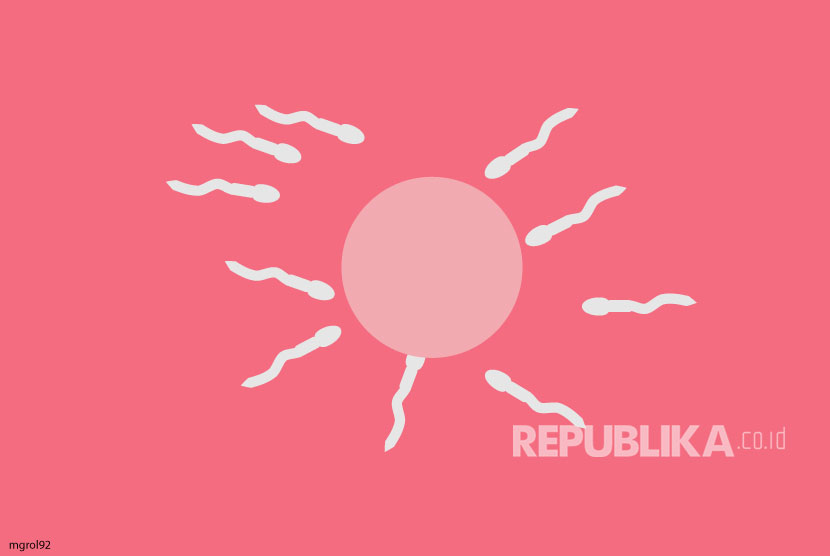 Sel sperma dan sel telur (ilustrasi). Sekelompok peneliti mengeklaim berhasil mengembangkan embrio manusia sintetik yang bisa bertahan di luar rahim.