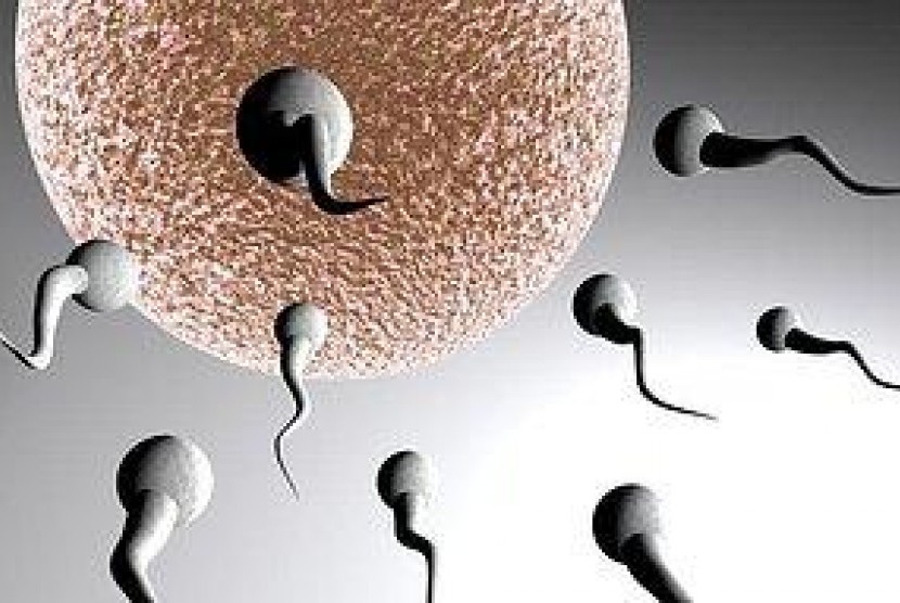Ilustrasi sperma