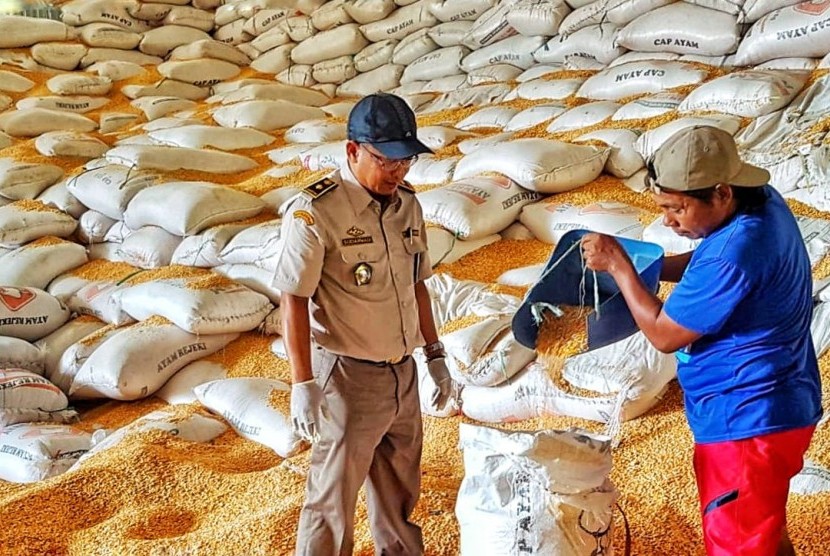 Sistem perdagangan komoditas jagung saat ini adalah sistem pasar. Ilustrasi stok jagung