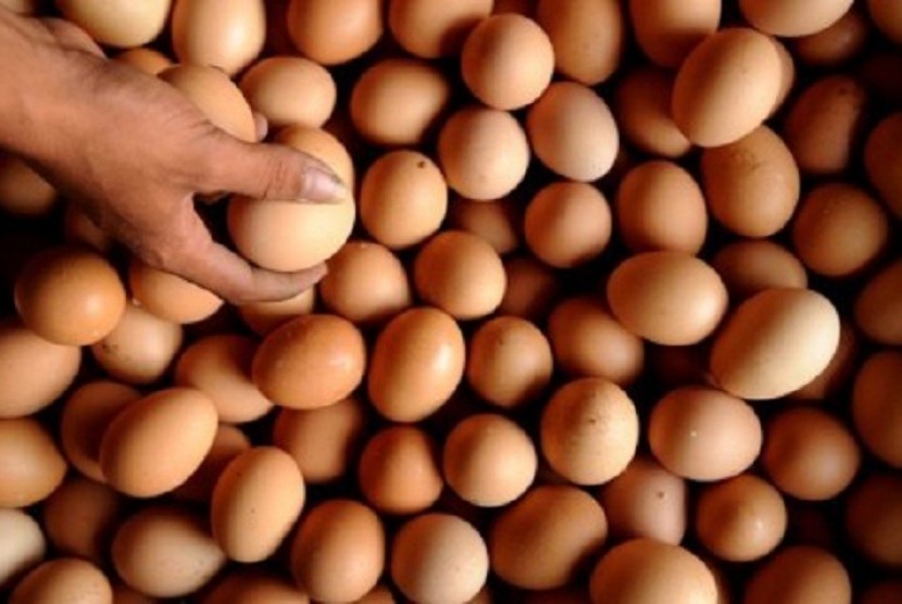 Ilustrasi telur. Harga telur masih tinggi di sejumlah daerah tembus Rp30 ribu per kg