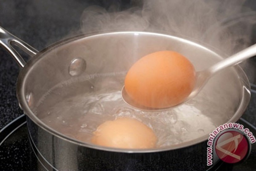 Kesalahan yang Sering Dilakukan Saat Memasak Telur | Republika Online