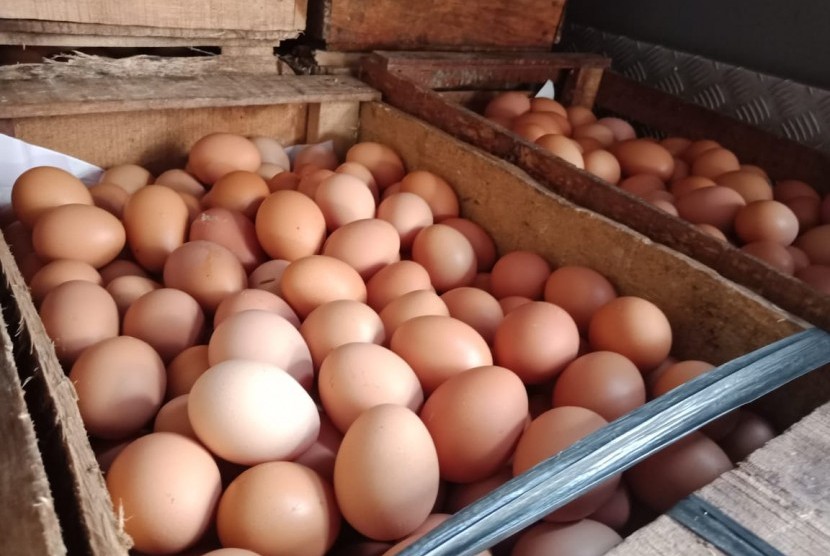 Ilustrasi telur ayam. Dinas Koperasi UMKM Perindustrian Perdagangan (Dikoperindag) Cianjur, Jawa Barat, mencatat harga telur mengalami kenaikan dari Rp24.000 menjadi Rp30.000 per kilogram. 