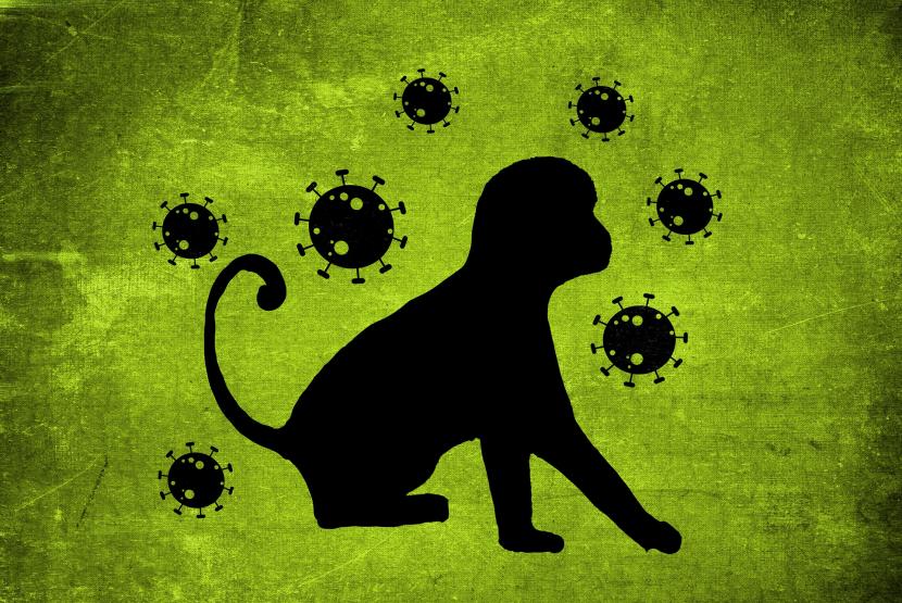  Risiko penularan cacar monyet dapat terjadi melalui kontak dengan darah, cairan tubuh atau lesi pada kulit atau mukosa, termasuk dapat dari hewan yang terinfeksi./ilustrasi