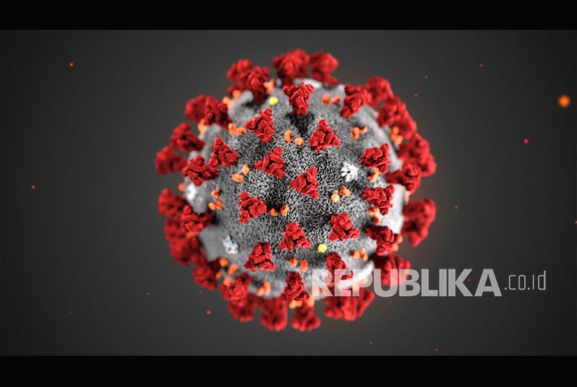 Ilustrasi virus corona dari Pusat Pengendalian dan Pencegahan Penyakit (CDC) Amerika Serikat. Sifat unik dalam struktur virus Covid-19 jelaskan mengapa penularannya sangat cepat.