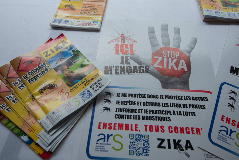 Ilustrasi Virus zika