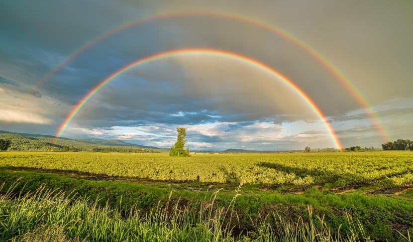 Kapan Saat yang Tepat Ucapkan Subhanallah dan Masya Allah?