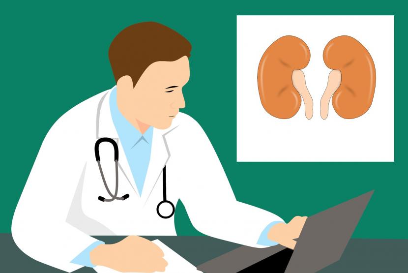 The Importance of Post-Kidney Transplant Care: Ignoring Treatment Puts Patients at Risk