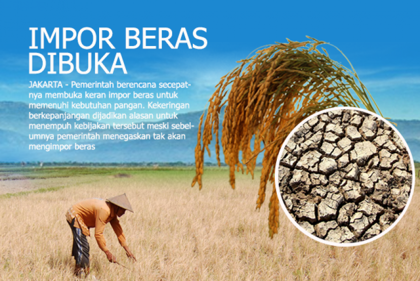 Impor Beras Dibuka