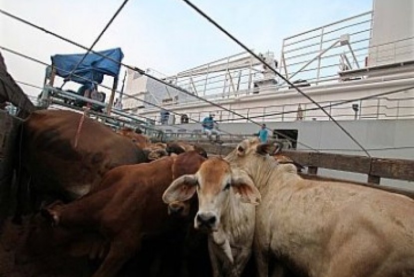 Pedagang daging sapi memotong daging untuk dijual di Pasar Senen, Jakarta, Kamis (30/7).