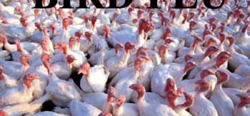 Indonesia reports the first two cases of bird flu to WHO (ilustration).