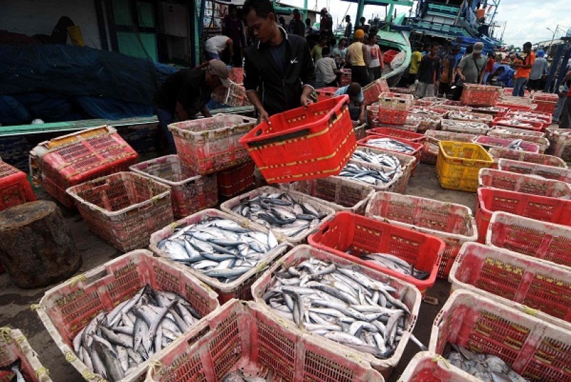 Indonesian fishery product including shrimp has a huge potential to enter international market. (illustration)
