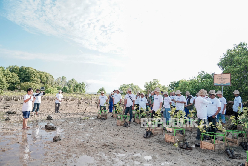 Road to Nusa Dua Festival 2025, ITDC Tanam 320 Mangrove di Pulau Pudut
