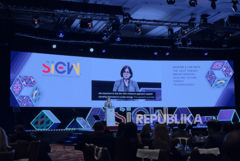 International Atomic Energy Agency,