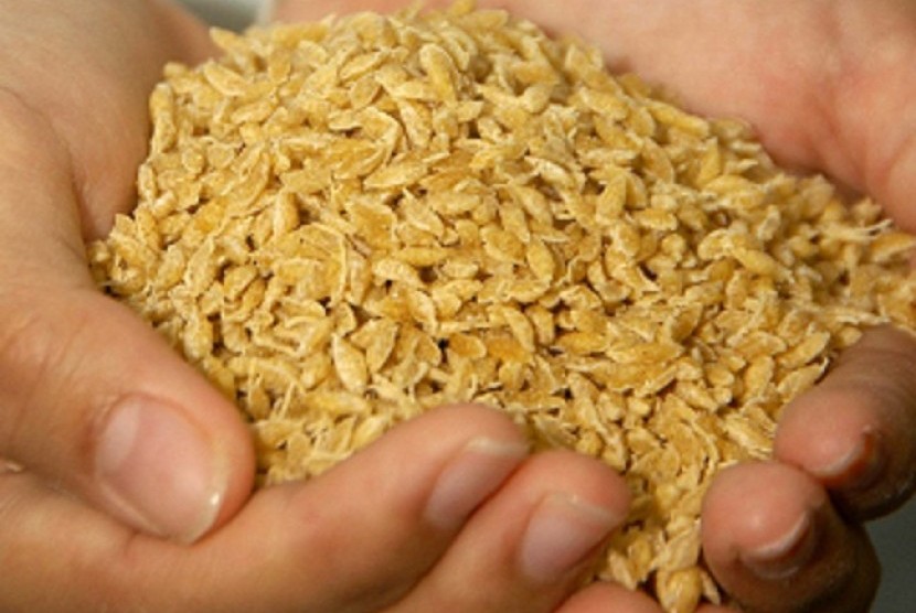IPB innovates artificial rice.