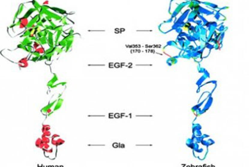 Bioteknologi