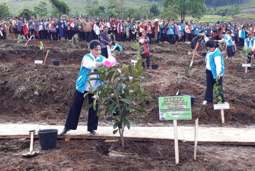 Iriana Jokowi saat melakukan penanaman pohon di Geopark Kaldera Toba serta mengunjungi desa tenun di Desa Hutaraja Lumban Suhisuhi, Kecamatan Pangururan, Toba Samosir, Rabu (18/4).