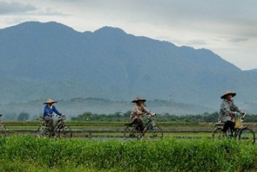 Iring-iringan buruh tani sawah saat berangkat ke area persawahan Desa Wonorejo, Kecamatan Makutana, Luwu Timur, Sulsel, Kamis (2/2)