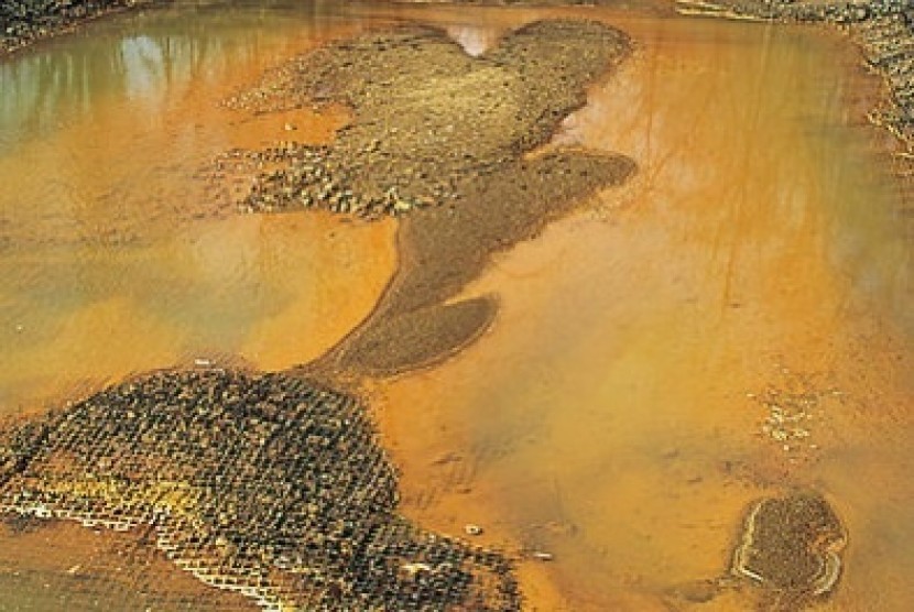 Iron hydroxide precipitate stains a stream receiving acid drainage from surface coal mining. (Illustration)