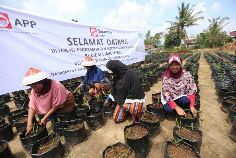 ISEI Kunjungi Kelompok Tani Binaan APP Sinar Mas di Jambi