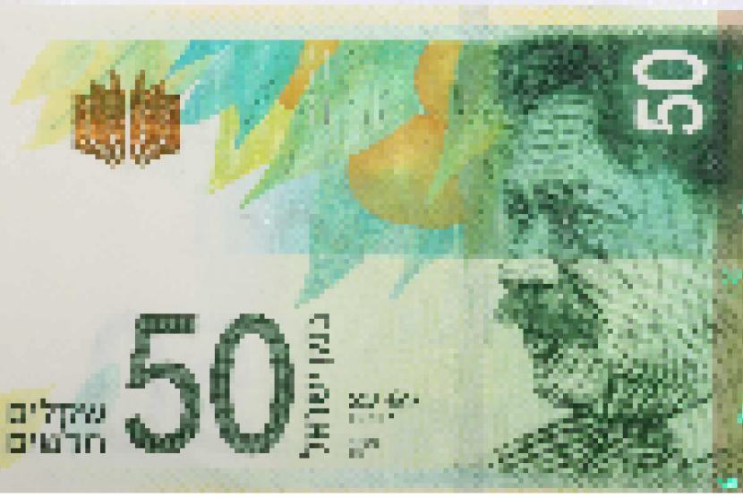 Israel's currency, shekel (illustration)
