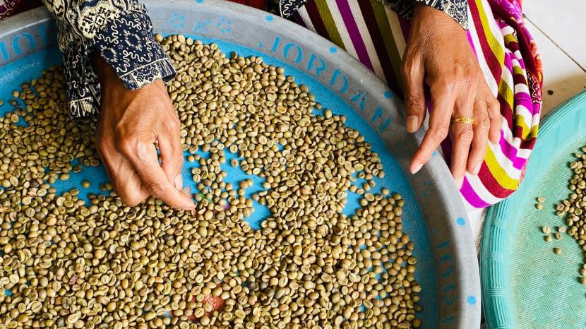 Pemerintah Kabupaten (Pemkab) Bogor, Jawa Barat, optimistis mampu meningkatkan produksi kopi sekaligus mempertahankan peringkat satu produksi kopi jenis robusta terbanyak di Provinsi Jawa Barat.
