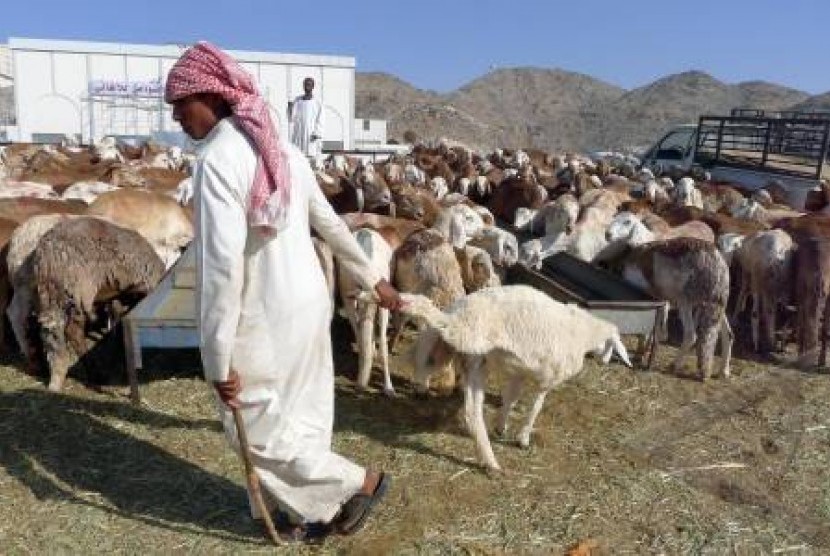 Jabal Qurban
