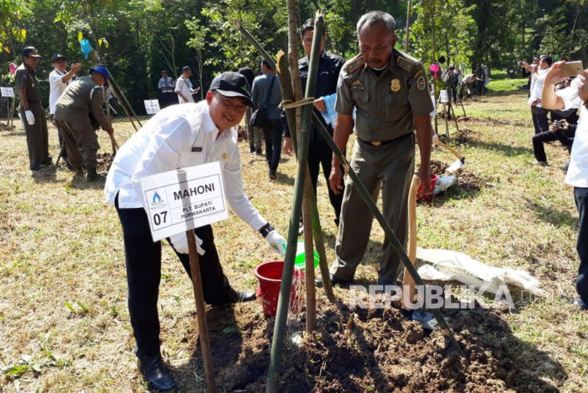 Jajaran Direksi PJT II Jatiluhur dan pejabat di lingkungan Pemkab Purwakarta, menanam pohon jenis keras di kawasan hutan Waduk Jatiluhur, Rabu (28/3). Penanaman pohon ini, terkait dengan peringatan hari air sedunia.