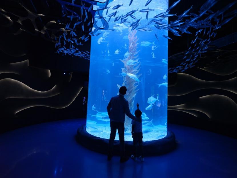 Jakarta Aquarium & Safari (JAQS) menghadirkan susana indah dan romantis musim gugur di Korea melalui Festival Musim Gugur Korea.