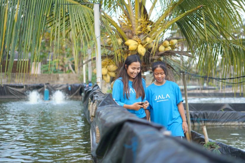  JALA meraih pendanaan Seri A sebesar 13,1 Juta dolar AS untuk memperkuat budidaya udang Indonesia