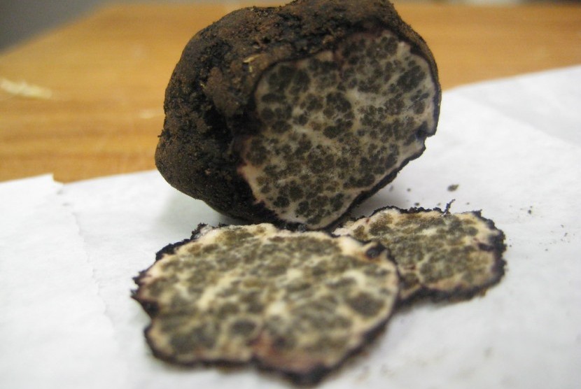 Jamur truffle
