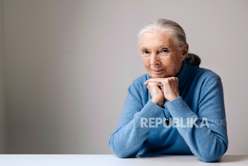 Jane Goodall. Aktor Leonardo DiCaprio memberikan penghormatan terakhir kepada sahabat dan rekannya sesama aktivis lingkungan, Dr Jane Goodall. 