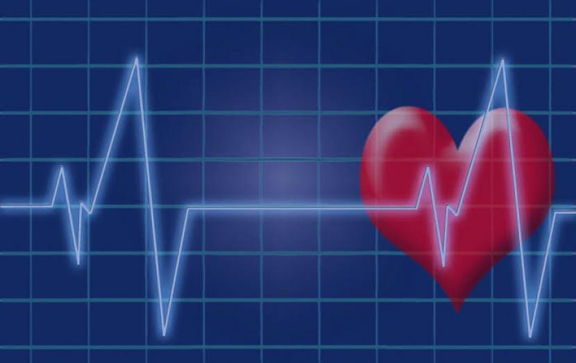 Monitor detak jantung (ilustrasi). Serangan jantung dapat didahului dengan rasa nyeri pada tungkai bawah.
