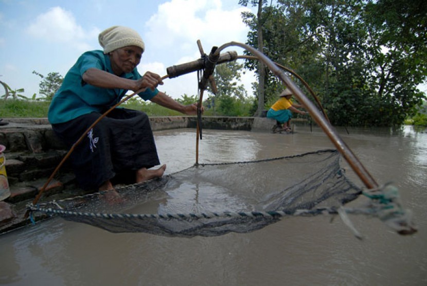 Ikan Sungai Hampir Punah di Sukabumi | Republika Online
