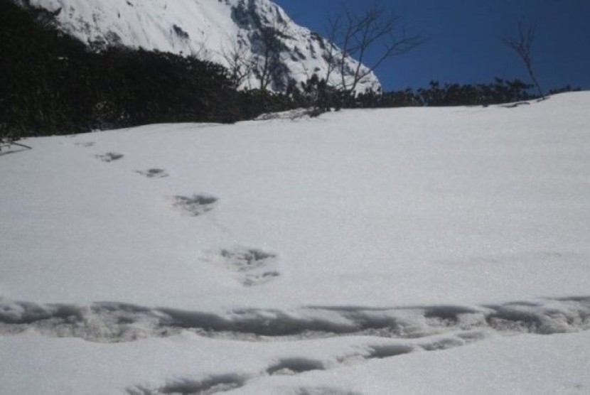   Jejak kaki ini terlihat di Gunung Makalu, dekat lembah yang sebelumnya pernah disurvei untuk keberadaan yeti.  