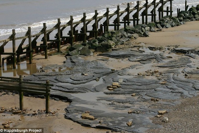 Jejak kaki manusia purba berusia 800 ribu tahun ditemukan di pantai di Norfolk, Inggris. 