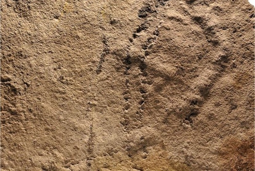Jejak kaki yang diduga dimiliki hewan yang hidup pada 546 juta tahun lalu