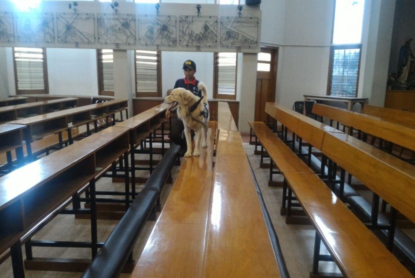 Jelang perayaan Natal anjing dari Canine Kota Malang (K-9) melakukan simulasi penyisiran di Gereja Santo Albertus Blimbing Kota Malang, Jumat (23/12).