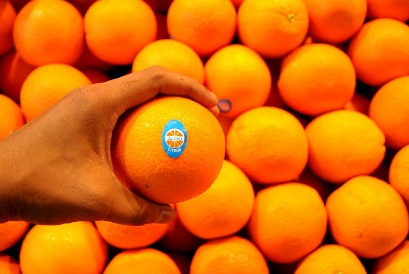 Imported oranges. (Illustration)