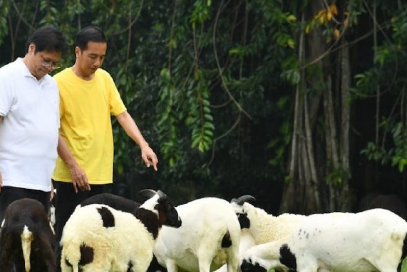 Jokowi saat bertemu Airlangga Hartarto.