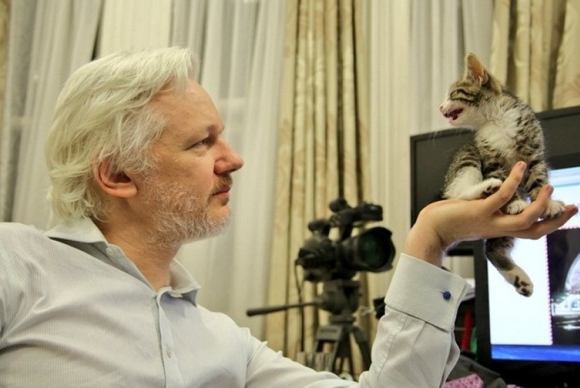 Julian Assange bersama kucingnya.