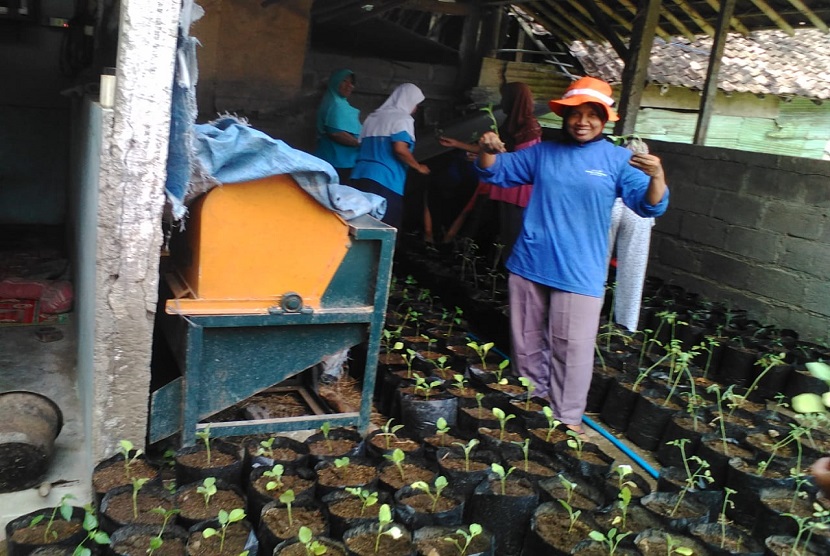 Jumeno, Ketua Gabungan Kelompok Tani (Gapoktan) Sido Makmur telah berhasil mengembangkan budidaya sayuran ramah lingkungan. Lokasinya di Dusun Karang Ploso, Desa Siti Mulyo, Kecamatan Piyungan, Kabupaten Bantul, D.I. Yogyakarta. 