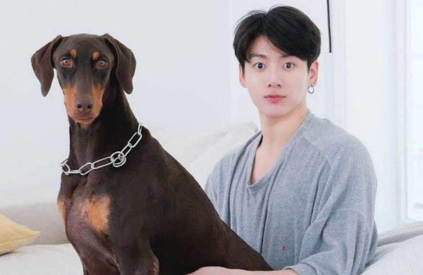 Jungkook BTS (kanan) bersama anjing peliharaannya bernama Bam (kiri). 