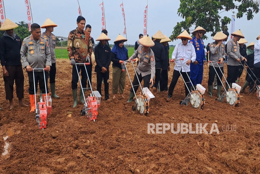 Jaga Ketahanan Pangan, Polri Gandeng Kelompok Tani Tanam 150 Hektare Jagung di Indramayu