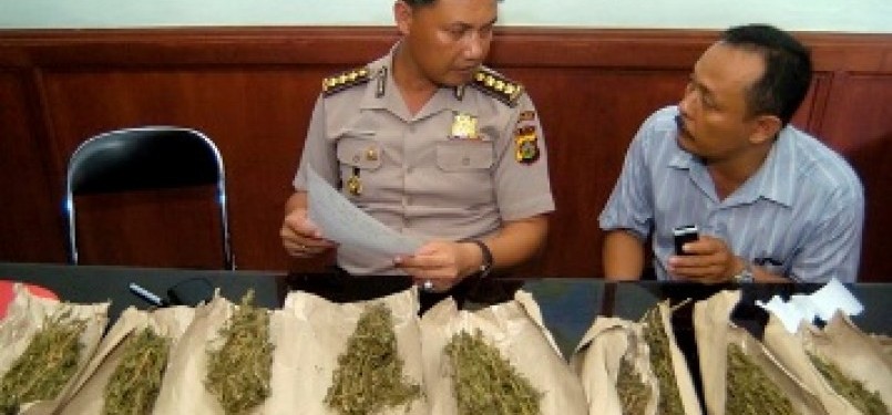 Kabid Humas Polda Bali, Kombes Polisi Gede Sugianyar (kiri) menggelar barang bukti paket ganja di Mapolda Bali