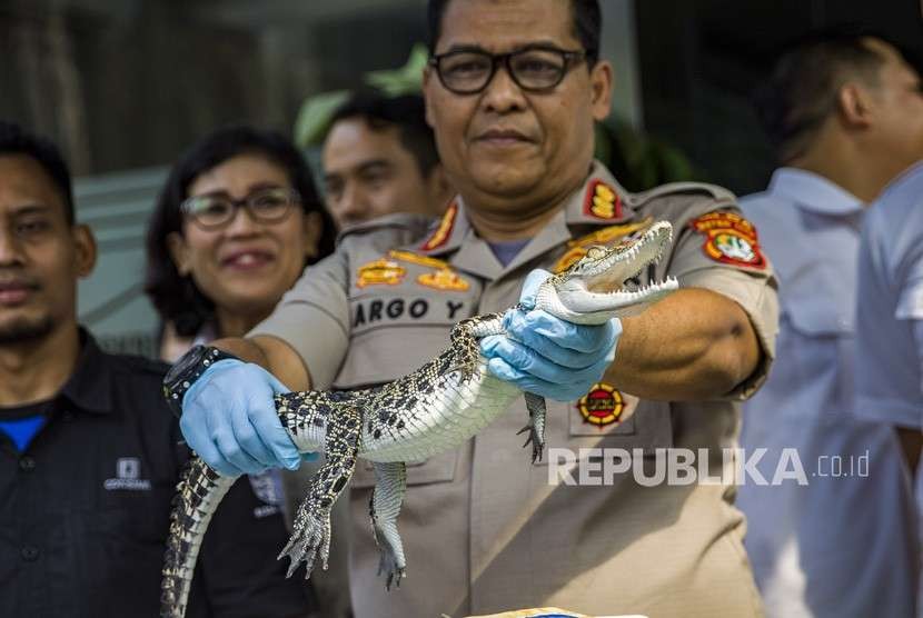 Kabid Humas Polda Metro Jaya Kombes Pol Argo Yuwono