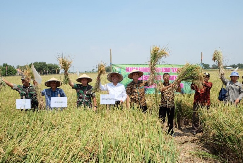 Kabupaten Karawang terus berproduksi meskipun di tengah kemarau panjang 2019 ini. 